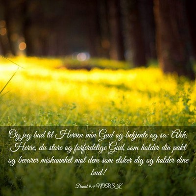 Picture 03 - Daniel 9:4 NORSK - Og jeg bad til Herren min Gud og bekjente og sa: - Bible Verse Picture