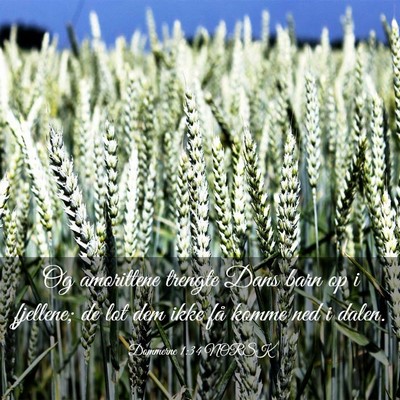 Picture 03 - Dommerne 1:34 NORSK - Og amorittene trengte Dans barn op i fjellene; de - Bible Verse Picture