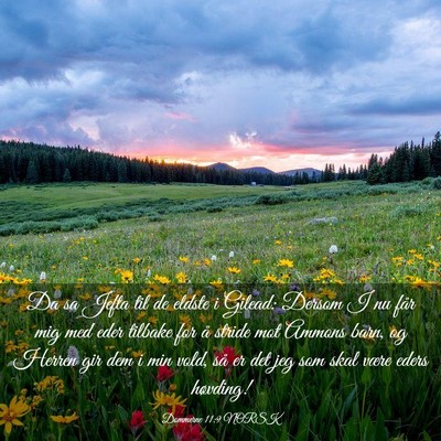 Picture 03 - Dommerne 11:9 NORSK - Da sa Jefta til de eldste i Gilead: Dersom I nu - Bible Verse Picture