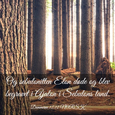 Picture 03 - Dommerne 12:12 NORSK - Og sebulonitten Elon døde og blev begravet i - Bible Verse Picture