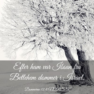 Picture 03 - Dommerne 12:8 NORSK - Efter ham var Ibsan fra Betlehem dommer i - Bible Verse Picture