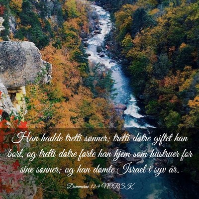 Picture 03 - Dommerne 12:9 NORSK - Han hadde tretti sønner; tretti døtre giftet - Bible Verse Picture