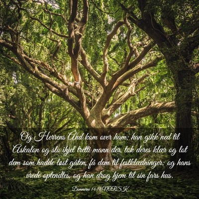 Picture 03 - Dommerne 14:19 NORSK - Og Herrens Ånd kom over ham; han gikk ned til - Bible Verse Picture