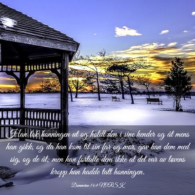 Picture 03 - Dommerne 14:9 NORSK - Han tok honningen ut og holdt den i sine hender - Bible Verse Picture