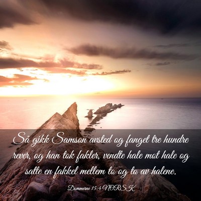 Picture 03 - Dommerne 15:4 NORSK - Så gikk Samson avsted og fanget tre hundre - Bible Verse Picture