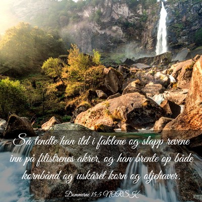 Picture 03 - Dommerne 15:5 NORSK - Så tendte han ild i faklene og slapp revene inn - Bible Verse Picture