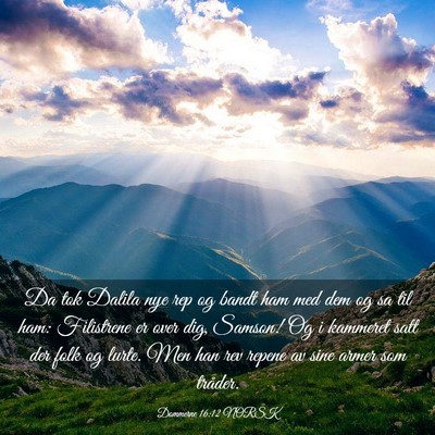 Picture 03 - Dommerne 16:12 NORSK - Da tok Dalila nye rep og bandt ham med dem og sa - Bible Verse Picture