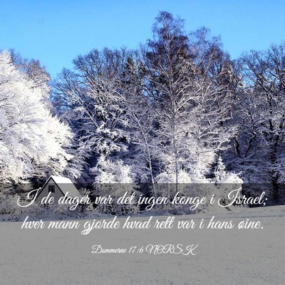 Picture 03 - Dommerne 17:6 NORSK - I de dager var det ingen konge i Israel; hver - Bible Verse Picture