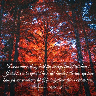 Picture 03 - Dommerne 17:8 NORSK - Denne mann drog bort fra sin by, fra Betlehem i - Bible Verse Picture