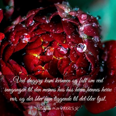 Picture 03 - Dommerne 19:26 NORSK - Ved daggry kom kvinnen og falt om ved inngangen - Bible Verse Picture