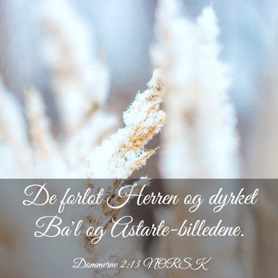 Picture 03 - Dommerne 2:13 NORSK - De forlot Herren og dyrket Ba'l og - Bible Verse Picture