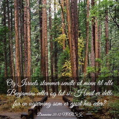Picture 03 - Dommerne 20:12 NORSK - Og Israels stammer sendte ut menn til alle - Bible Verse Picture