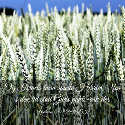 Picture 03 - Dommerne 20:27 NORSK - Og Israels barn spurte Herren(-)for i den tid - Bible Verse Picture