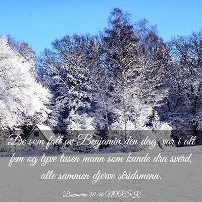 Picture 03 - Dommerne 20:46 NORSK - De som falt av Benjamin den dag, var i alt fem og - Bible Verse Picture