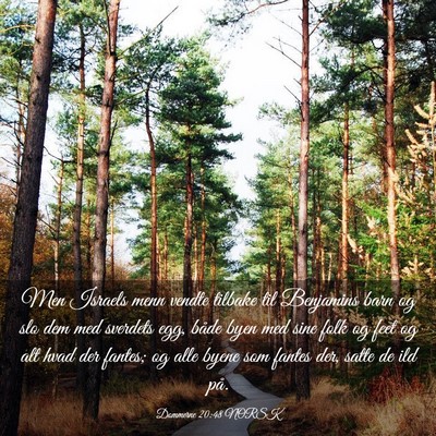 Picture 03 - Dommerne 20:48 NORSK - Men Israels menn vendte tilbake til Benjamins - Bible Verse Picture