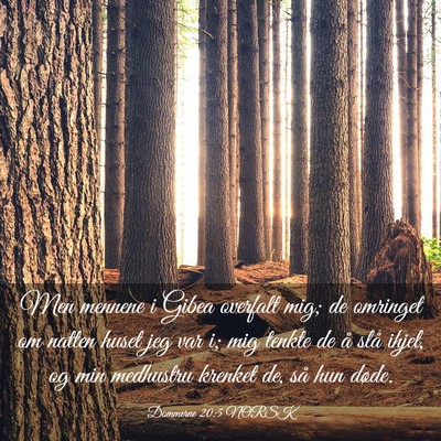Picture 03 - Dommerne 20:5 NORSK - Men mennene i Gibea overfalt mig; de omringet om - Bible Verse Picture