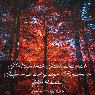 Picture 03 - Dommerne 21:1 NORSK - I Mispa hadde Israels menn svoret: Ingen av oss - Bible Verse Picture