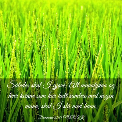 Picture 03 - Dommerne 21:11 NORSK - Således skal I gjøre: Alt mannkjønn og hver - Bible Verse Picture