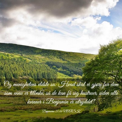 Picture 03 - Dommerne 21:16 NORSK - Og menighetens eldste sa: Hvad skal vi gjøre for - Bible Verse Picture