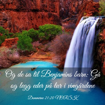 Picture 03 - Dommerne 21:20 NORSK - Og de sa til Benjamins barn: Gå og legg eder på - Bible Verse Picture