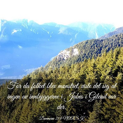 Picture 03 - Dommerne 21:9 NORSK - For da folket blev mønstret, viste det sig at - Bible Verse Picture