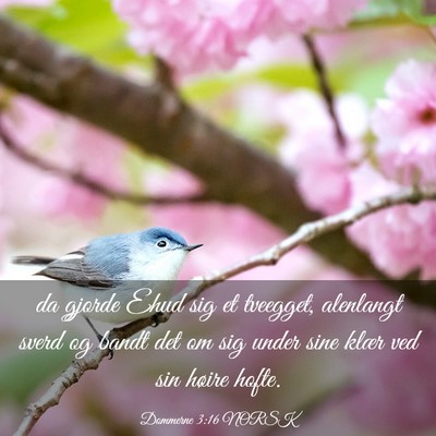 Picture 03 - Dommerne 3:16 NORSK - da gjorde Ehud sig et tveegget, alenlangt sverd - Bible Verse Picture