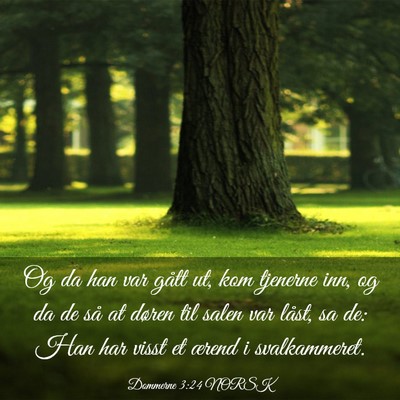 Picture 03 - Dommerne 3:24 NORSK - Og da han var gått ut, kom tjenerne inn, og da - Bible Verse Picture