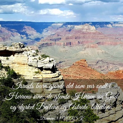 Picture 03 - Dommerne 3:7 NORSK - Israels barn gjorde det som var ondt i Herrens - Bible Verse Picture