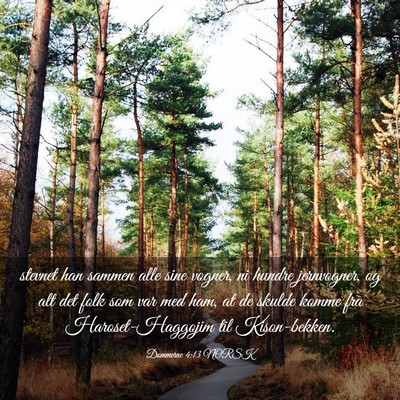 Picture 03 - Dommerne 4:13 NORSK - stevnet han sammen alle sine vogner, ni hundre - Bible Verse Picture