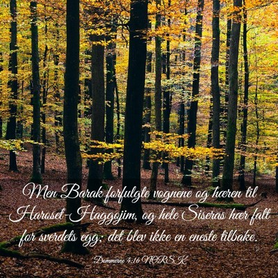 Picture 03 - Dommerne 4:16 NORSK - Men Barak forfulgte vognene og hæren til - Bible Verse Picture