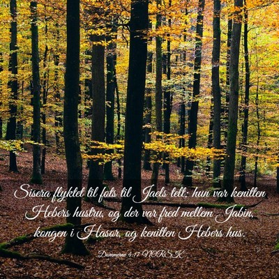 Picture 03 - Dommerne 4:17 NORSK - Sisera flyktet til fots til Jaels telt; hun var - Bible Verse Picture