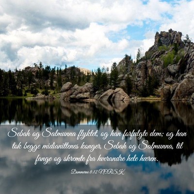 Picture 03 - Dommerne 8:12 NORSK - Sebah og Salmunna flyktet, og han forfulgte dem; - Bible Verse Picture