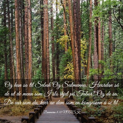 Picture 03 - Dommerne 8:18 NORSK - Og han sa til Sebah Og Salmunna: Hvordan så de - Bible Verse Picture