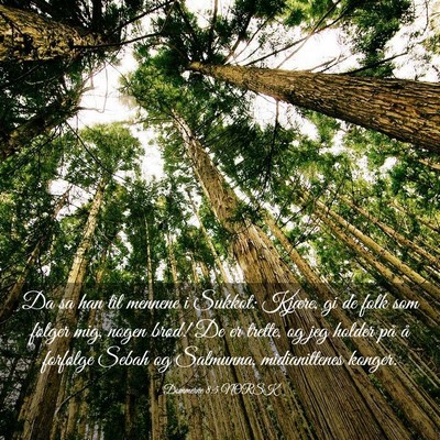Picture 03 - Dommerne 8:5 NORSK - Da sa han til mennene i Sukkot: Kjære, gi de - Bible Verse Picture