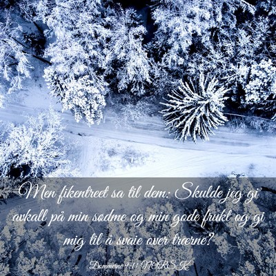 Picture 03 - Dommerne 9:11 NORSK - Men fikentreet sa til dem: Skulde jeg gi avkall - Bible Verse Picture