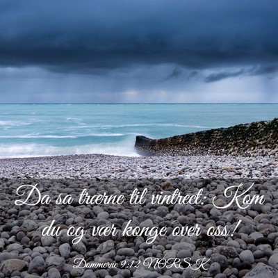 Picture 03 - Dommerne 9:12 NORSK - Da sa trærne til vintreet: Kom du og vær konge - Bible Verse Picture