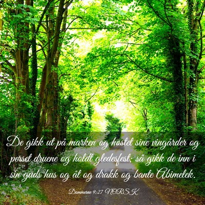 Picture 03 - Dommerne 9:27 NORSK - De gikk ut på marken og høstet sine vingårder - Bible Verse Picture