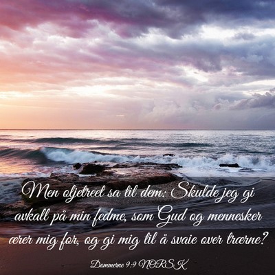 Picture 03 - Dommerne 9:9 NORSK - Men oljetreet sa til dem: Skulde jeg gi avkall - Bible Verse Picture