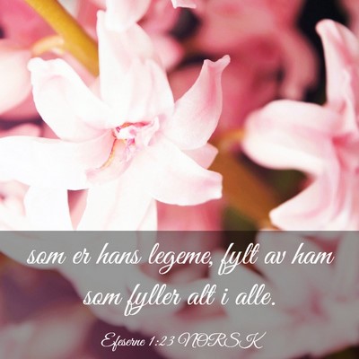 Picture 03 - Efeserne 1:23 NORSK - som er hans legeme, fylt av ham som fyller alt i - Bible Verse Picture