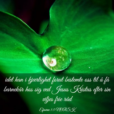 Picture 03 - Efeserne 1:5 NORSK - idet han i kjærlighet forut bestemte oss til å - Bible Verse Picture