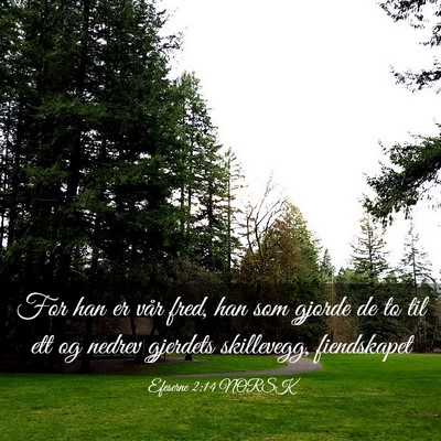 Picture 03 - Efeserne 2:14 NORSK - For han er vår fred, han som gjorde de to til - Bible Verse Picture