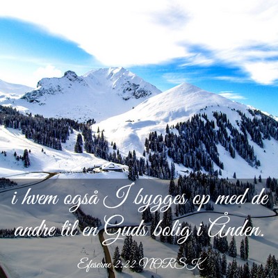 Picture 03 - Efeserne 2:22 NORSK - i hvem også I bygges op med de andre til en Guds - Bible Verse Picture