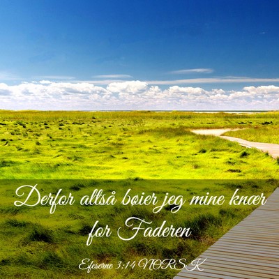 Picture 03 - Efeserne 3:14 NORSK - Derfor altså bøier jeg mine knær for - Bible Verse Picture