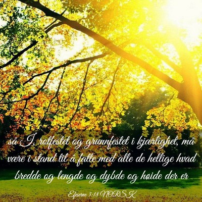 Picture 03 - Efeserne 3:18 NORSK - så I, rotfestet og grunnfestet i kjærlighet, - Bible Verse Picture