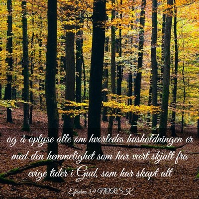 Picture 03 - Efeserne 3:9 NORSK - og å oplyse alle om hvorledes husholdningen er - Bible Verse Picture