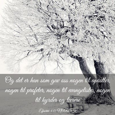 Picture 03 - Efeserne 4:11 NORSK - Og det er han som gav oss nogen til apostler, - Bible Verse Picture