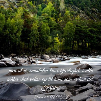 Picture 03 - Efeserne 4:15 NORSK - men at vi, sannheten tro i kjærlighet, i alle - Bible Verse Picture