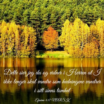 Picture 03 - Efeserne 4:17 NORSK - Dette sier jeg da og vidner i Herren at I ikke - Bible Verse Picture