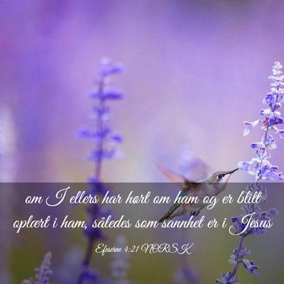 Picture 03 - Efeserne 4:21 NORSK - om I ellers har hørt om ham og er blitt oplært - Bible Verse Picture