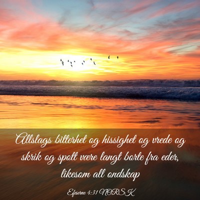 Picture 03 - Efeserne 4:31 NORSK - Allslags bitterhet og hissighet og vrede og skrik - Bible Verse Picture